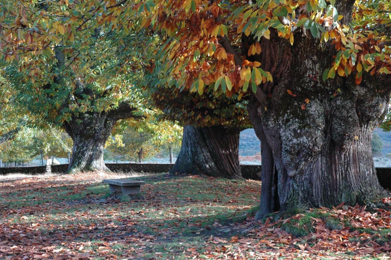 La Era De Sanabria Villa Villarino de Sanabria Luaran gambar